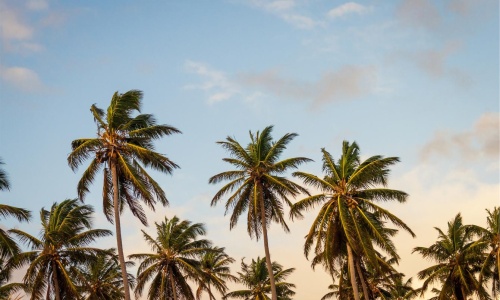 Est eligendi et eos ducimus